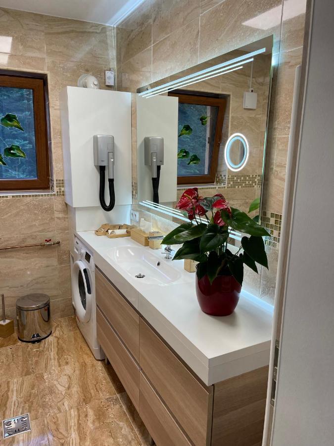 Hrodberht Ski Apartment Buşteni 外观 照片